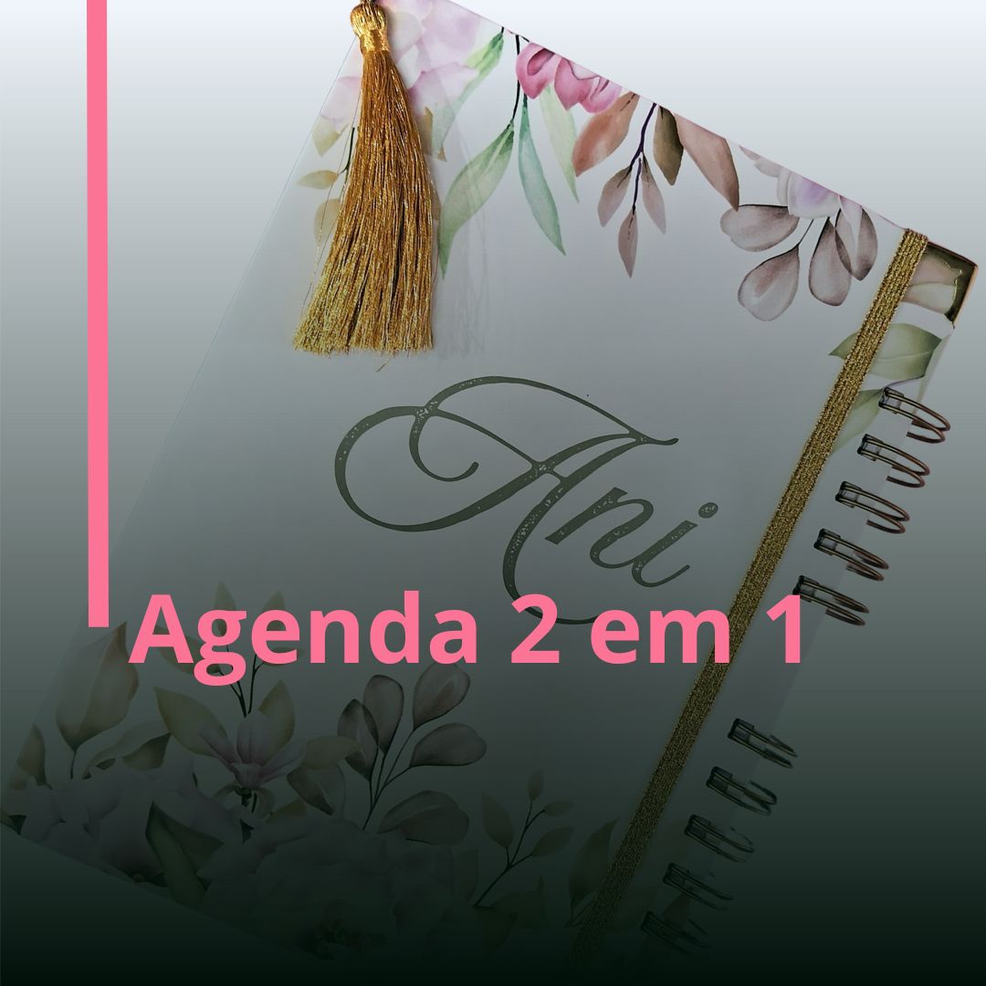 Agenda 2 em 1